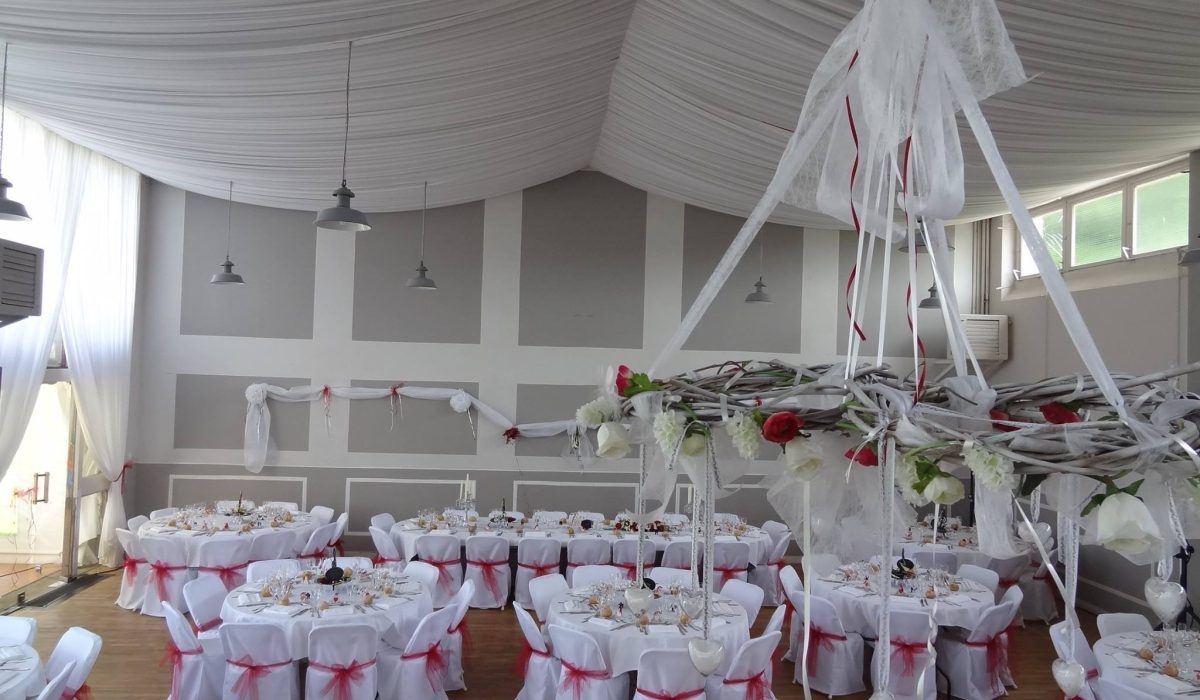 11782174_423013051235053_4261651623887416048_o