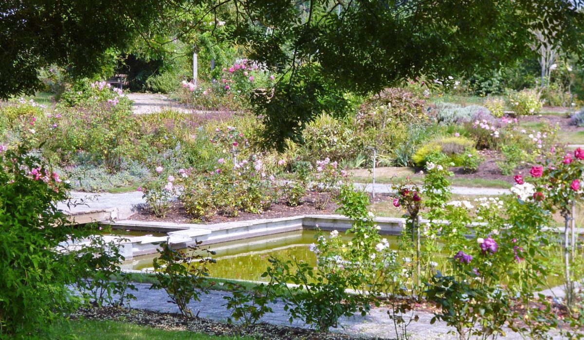 3-Courtil-des-senteurs-1