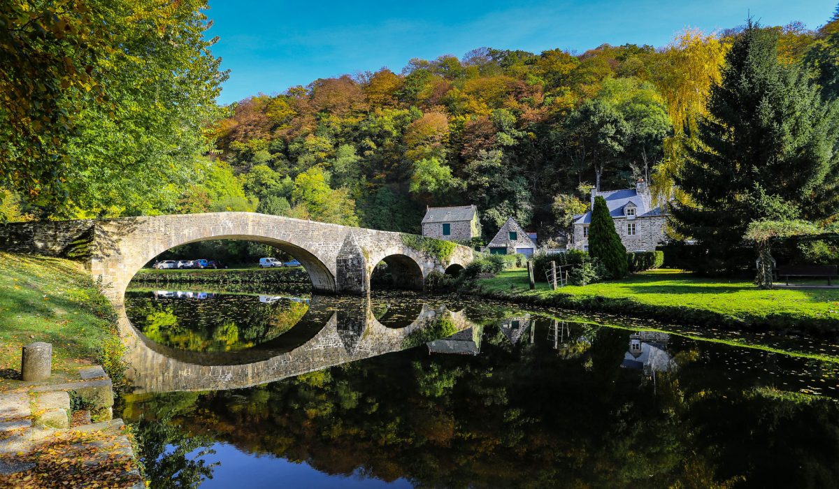 lehon_2016-10_pont_furcifer-pardalis