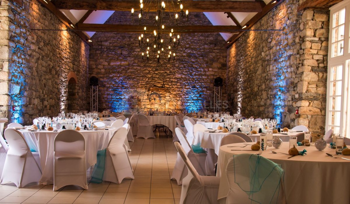 manoir-de-la-begaudiere-8